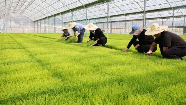 농가는 지난해 축산업의 부진으로 소득이 전년 대비 소폭 줄었다. 연합뉴스