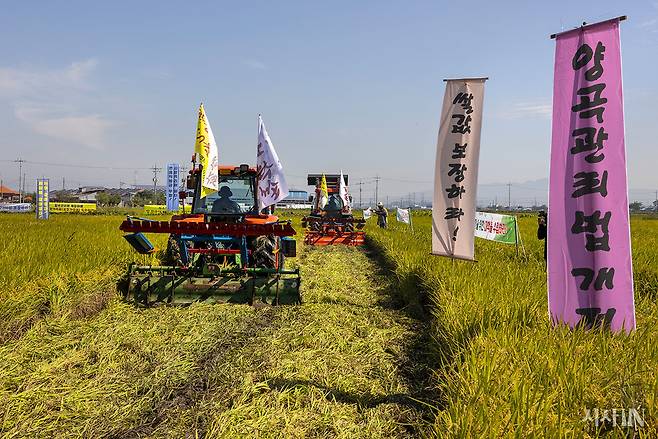 전국농민회총연맹(전농) 익산농민회가 2022년 9월27일 오전 익산시 오산면 영만리 들녘에서 근본적인 쌀값 안정화를 위한 양곡관리법 개정을 촉구하며 추수를 앞둔 논 1천200평을 갈아엎고 있다. ⓒ시사IN 조남진