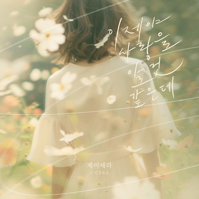 요구르트 스튜디오