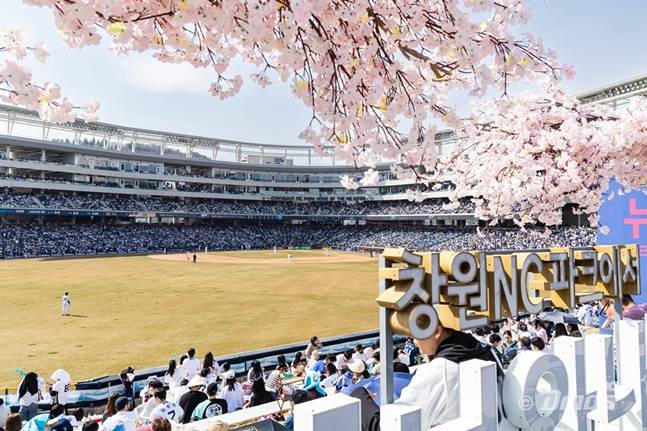 창원NC파크. /사진=NC 다이노스 제공