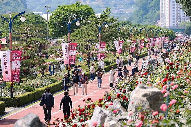 삼척장미축제 오세요 (삼척=연합뉴스) '2025 삼척장미축제'가 개막한 23일 강원 삼척시 오십천 장미공원에 관람객들의 발길이 이어지고 있다.
    장미공원은 약 8만5천㎡ 부지에 220여 종, 16만 그루 이상의 장미가 식재돼 6월 1일까지 이어지는 축제 기간 천만 송이의 장미가 만개해 장관을 이룰 예정이다. 2025.5.23 [삼척시 제공. 재판매 및 DB 금지] yoo21@yna.co.kr