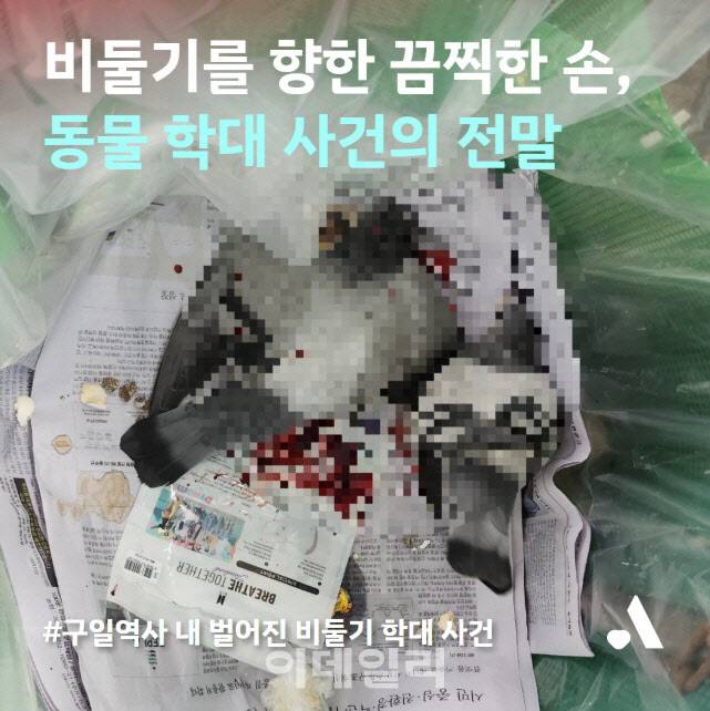 구일역에서 새총을 맞고 피를 흘리며 쓰러져 있는 비둘기 모습. 아직 살아 있는 상태지만 구일역 청소직원은 바로 목을 비틀어 쓰레기통에 투하했다.(사진=동물자유연대)