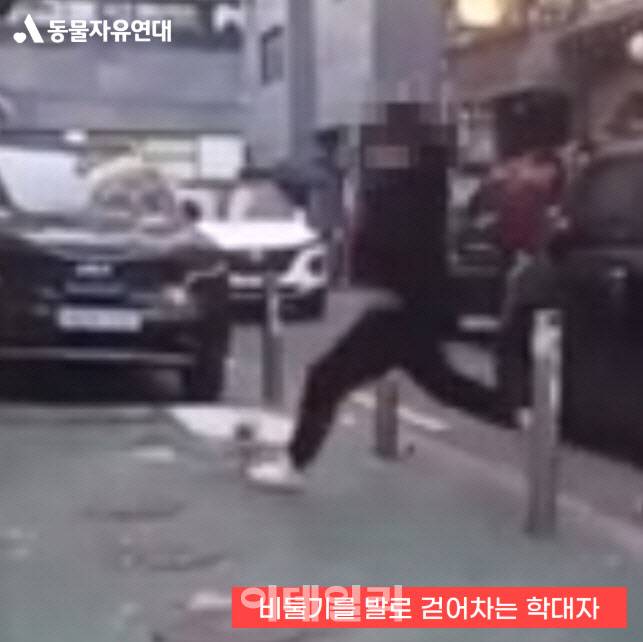 지난 2022년 10월 비둘기로 제기차기를 하는 남성의 모습. 해당 영상은 인스타그램 스토리에 게재 됐다. (사진=동물자유연대)