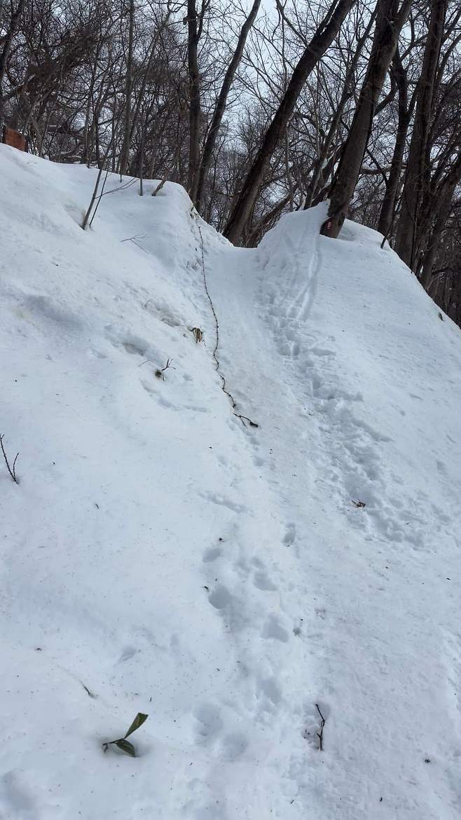 7f9b8173c1f0608223eb82e24e9c701b94de75df8f2259dc81d6f5b12cd10ccc407388722e79dc045aed34dcd3d1964569e38f0a0b