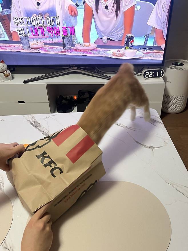 IMG_5507.jpeg 우리집 복덩이 빵이 보고가