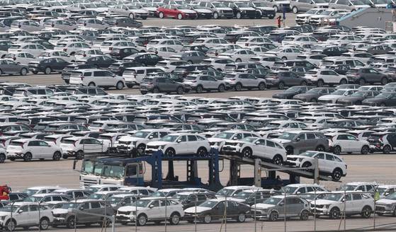 경기 평택항 자동차전용부두에 선적을 기다리는 수출용 차량들이 세워져 있다. 뉴스1