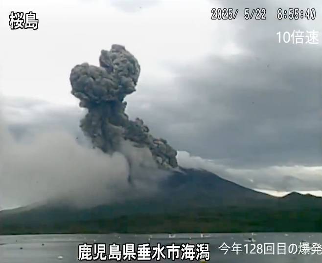 일본의 대표적 활화산에서 최근 일주일간 폭발적인 분화 활동이 이어지고 있다. 사진 엑스 캡처