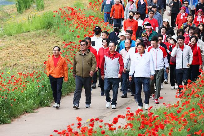 [괴산=뉴시스] 24일 '2025 빨간맛페스티벌'의 대표 프로그램 '빨간꽃길 괴산 걷기대회'가 열린 충북 괴산군 동진천변에서 참가자들이 붉게 물든 양귀비 꽃길을 따라 봄 정취를 만끽하고 있다. (사진=괴산군 제공) 2025.05.24. photo@newsis.com  *재판매 및 DB 금지