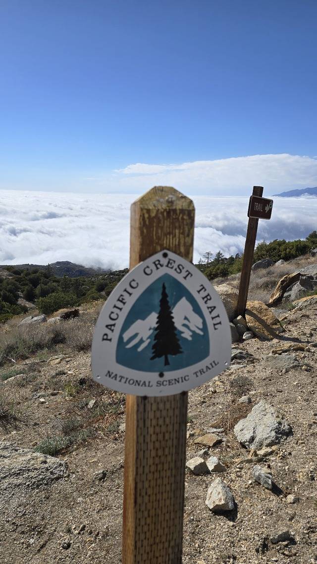 코스 곳곳에 PCT 로고가 새겨진 기둥은 길잡이 역할을 한다.