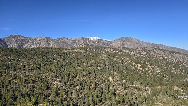 멀리서 본 샌골고니오 산(Mt. San Gorgonio). 해발이 높은 탓에 5월 중순에도 정상부에 눈이 쌓여있는 산을 흔하게 만날 수 있다.