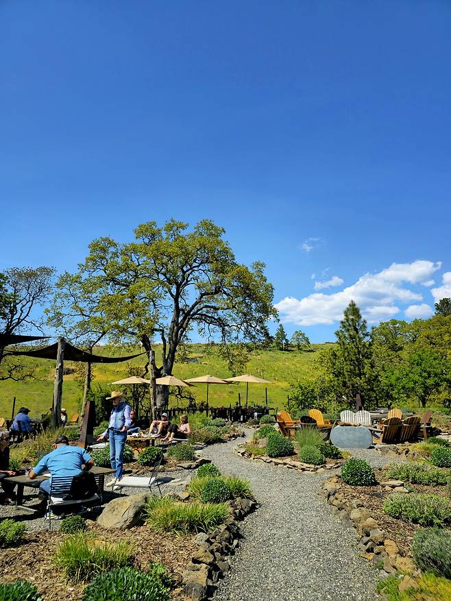 씬클라인 와이너리 야외 레스토랑.