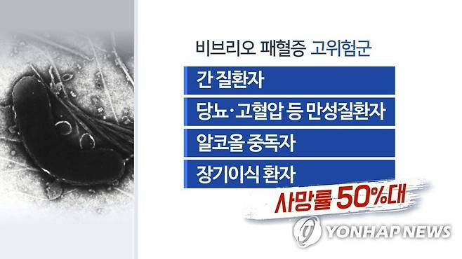 비브리오 패혈증 고위험군(CG) [연합뉴스TV 제공]