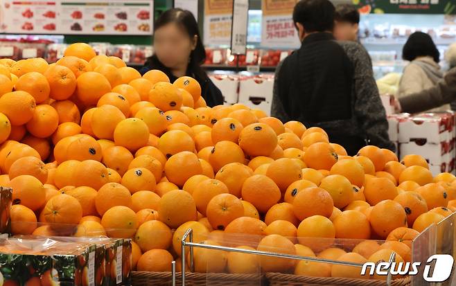 서울 시내의 한 대형마트를 찾은 고객이 미국산 감귤인 만다린과 네이블 오렌지를 고르고 있다. 2024.3.22/뉴스1 ⓒ News1 이동해 기자