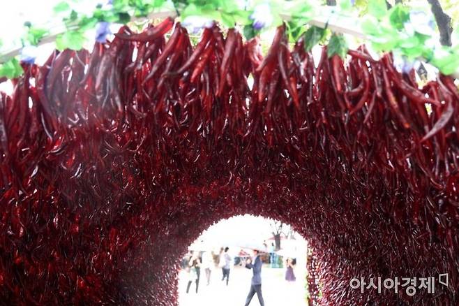 매운 음식이 체중 감량에 도움이 된다는 연구 결과가 발표됐다. 문호남 기자 munonam@