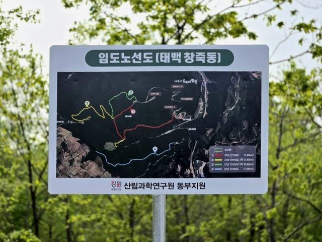 ▲ 강원도와 태백시는 28일 창죽동 매봉산 천상의 숲 산림치유센터에서 유관기관과 단체, 지역주민 등 70여명이 참석한 가운데 ‘매봉산 천상의 숲 개장식’을 갖고, 본격 운영에 들어간다. 천상의 숲 안내도. 전인수