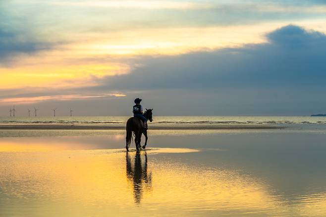 휘게팜 고창해변승마클럽에서 운영 중인 명사십리 해변 승마 체험 / 사진=한국관광공사