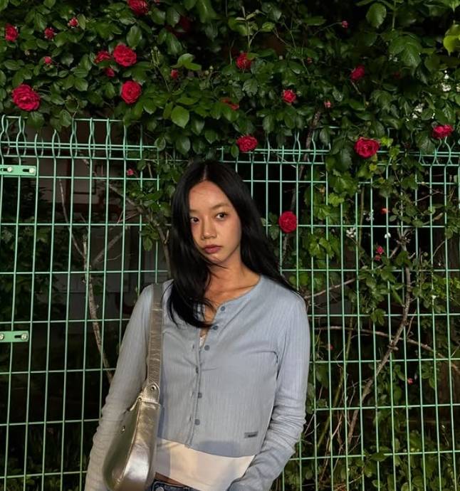 혜리 소셜 미디어