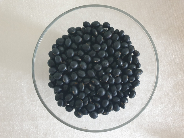 기능성 검은콩 '소만. 농촌진흥청