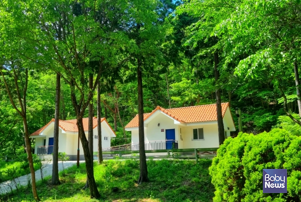 남해편백자연휴양림. ⓒ산림청