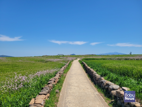 우리가 살아가야 할 인생의 길에 다정한 누군가가 함께 있다면 그 길은 결코 외롭지 않을 것이다. ⓒ김재원