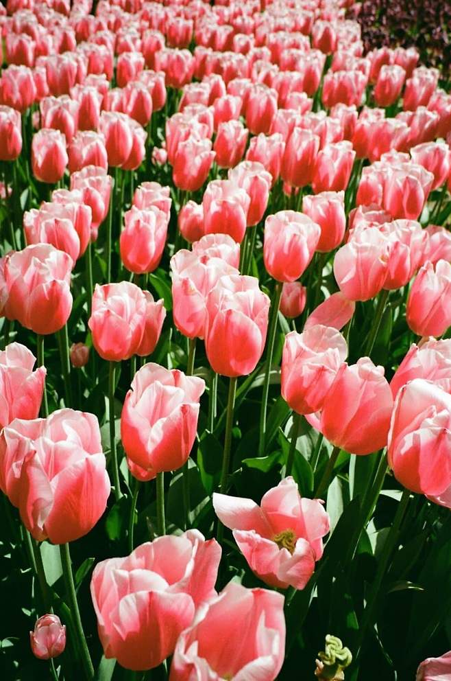 0ceb8902bd826ef323e6f7e0439c701e83448b50fda52d0c0dd679246797dab1453ea982631cf129eae2dedf01dcc75e2fa4845d