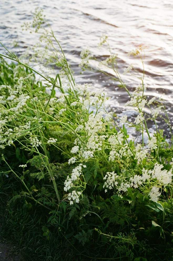 08e5f172c4811bf2239d82e1479c706f101cbccc66350d6e13cdb0bbe82c6f15b50ca52cb18884c6bda8492948485e73efb38689