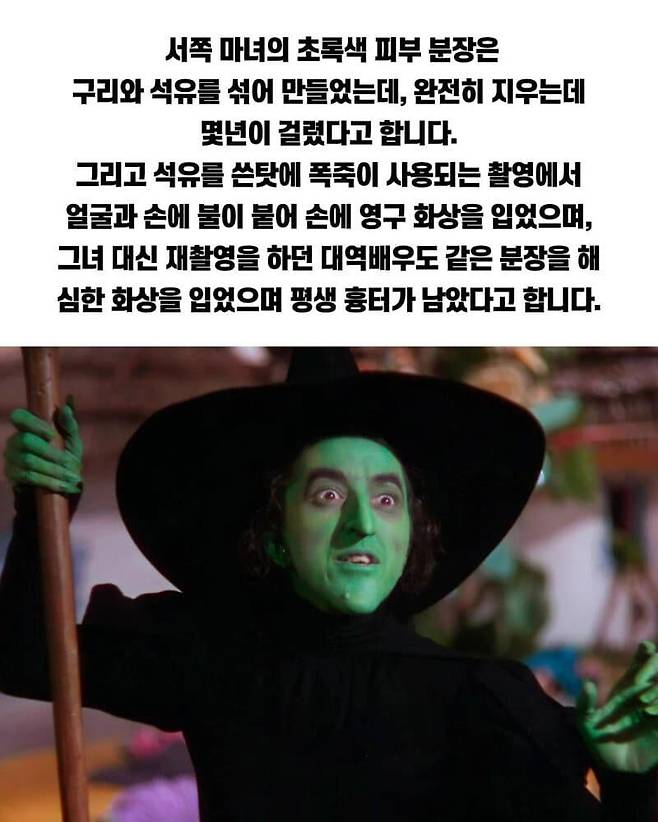 1000016277.jpg 파도파도 괴담만 나오는 오즈의 마법사 영화