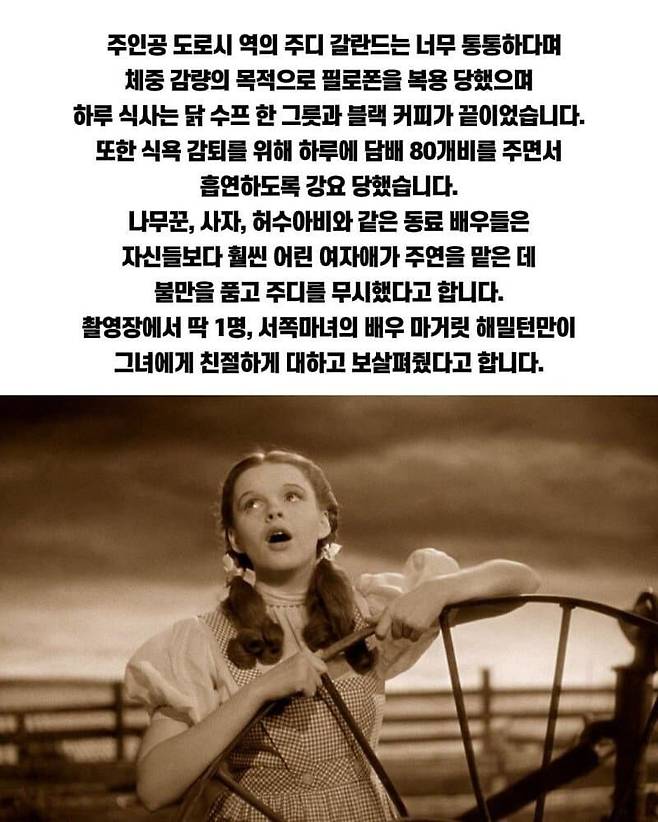 1000016278.jpg 파도파도 괴담만 나오는 오즈의 마법사 영화