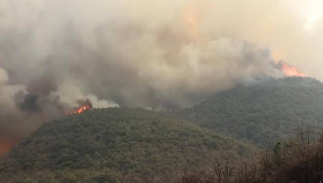 지난 3월 영남 산청, 하동, 의성 등에서 산불이 동시다발로 발생했다. 피해면적은 10만4000ha에 달한다. 산림청 제공