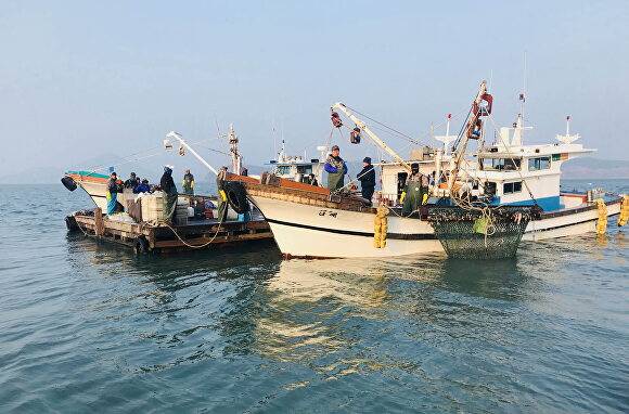 전남지역 어선원들이 어업활동을 하고 있다. [사진=전남도]