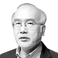 이준 부산비엔날레 집행위원장·미술비평가