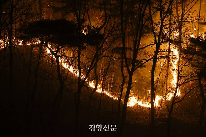 경북 의성군 산불 발생 이틀째인 지난 3월 23일 안평면에서 산불이 번지고 있다. 문재원 기자