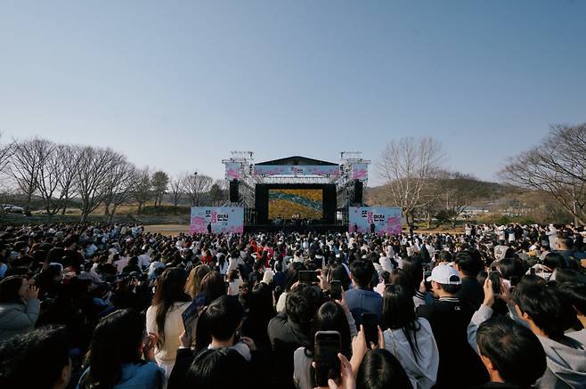 충남 당진 면천에서 전문성과 공공성이 표현된 또봄면천 축제에 방문객이 몰려있다. 축제위원회