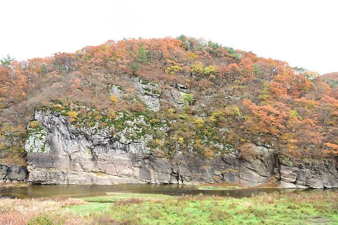 국보 '울주 대곡리 반구대 암각화' 모습. 국가유산청 제공, 연합뉴스