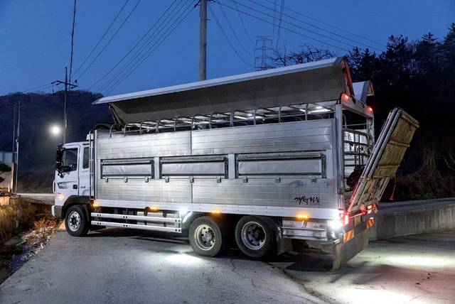 가축운송차는 대개 특장차회사에 맡겨 개조한다.