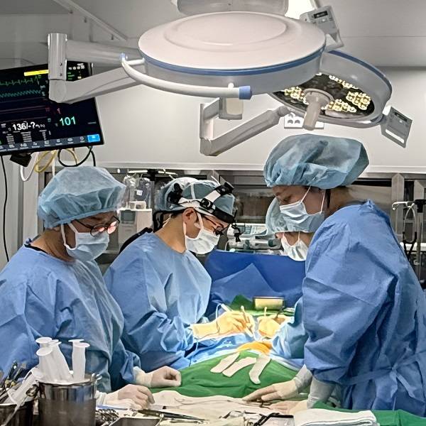 사진=넬동물의료센터 제공