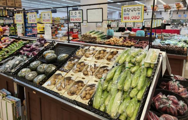 대구의 한 식자재마트 내부 전경. 김남명 기자