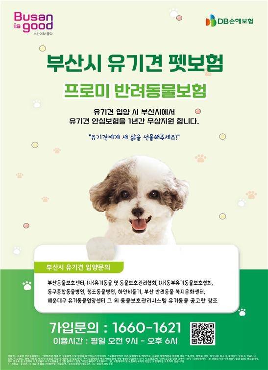 1년간 펫보험을 무료로 지원 [부산시 제공. 재판매 및 DB 금지]