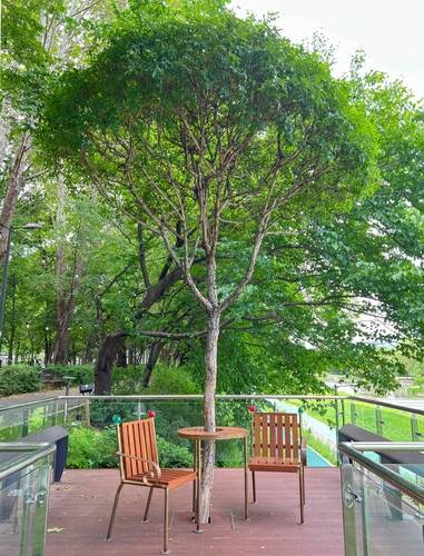 양재천 바츨라프 하벨벤치 [서초구 제공. 재판매 및 DB 금지]