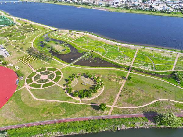 낙동가람 초화단지 전경