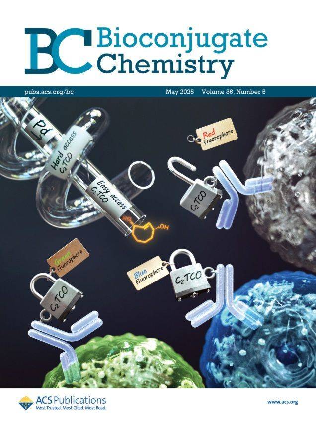 아주대 연구팀은 생체 환경에서 약물의 방출 시간과 위치를 정밀하게 제어할 수 있는 기술을 개발했다.＜사진=아주대 제공＞