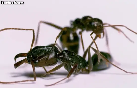 05b2de23fcd139ab2eed86e7439c74686ccd1122b70f47d4b5365837b5fbd1416343d6a5185fa63dd2c366ebbe46