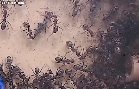 05b2de23fcd139ab2eed86e7439c74686ccd1122b70f47d5bd365930b5fbd1413ae7ab13aef05f496696bf29b485