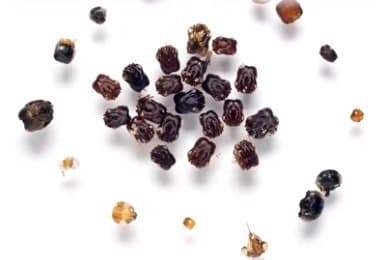 75ea8270b5ed69f537e7838a47846a37650a2889fd433005bd58d6b320