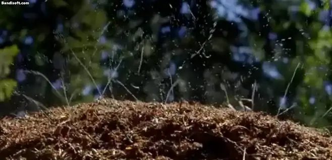 05b2de23fcd139ab2eed86e7439c74686ccd1122b70f47d5bf365e31b5fbd14115c4bc7537fd7fd724e55a6ed533bb