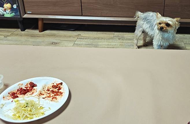 20250526_215404.jpg 저녁 된장찌개