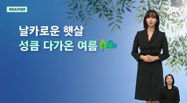 오늘자 jtbc뉴스룸 기상캐스터 배우 김소현
