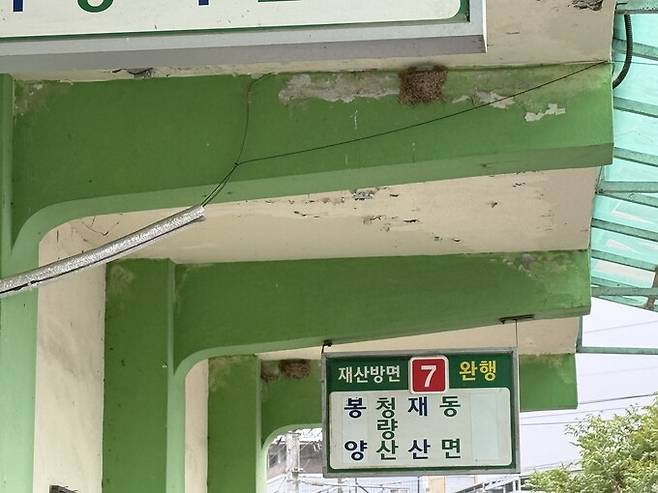 지난 24일 경북 봉화군 봉화버스터미널 처마에 제비들이 둥지를 짓은 모습. 내성천제비연구소는 봉화시장과 봉화버스터미널등 읍내를 찾는 제비가 3000여 마리에 달한다고 추정하고 있다. 김지숙 기자 suoop@hani.co.kr