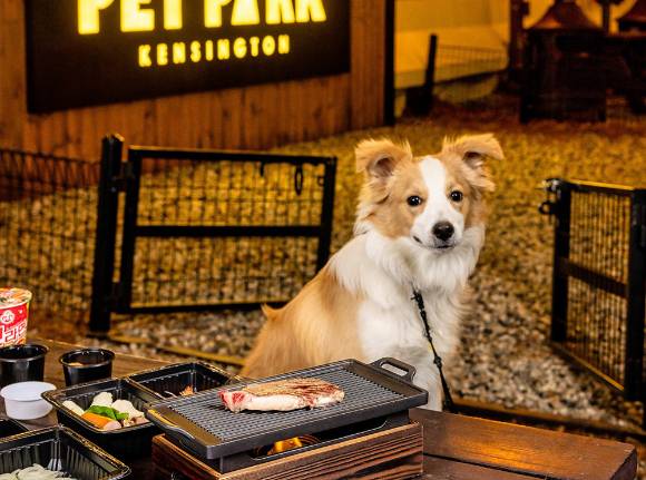 켄싱턴리조트 충주, 바비큐 인 포레스트 패키지 이미지. [사진=켄싱턴호텔앤리조트]
