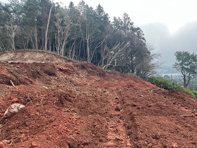 제주도 서귀포시 남원읍에 있는 '넉시오름'이 무단 벌채 등으로 훼손된 모습. (제주자치경찰단 제공)